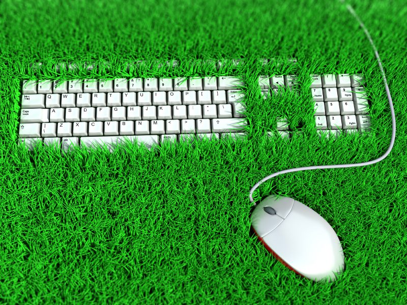 Tastiera e mouse immersi nell'erba verde, simbolo di tecnologia sostenibile.