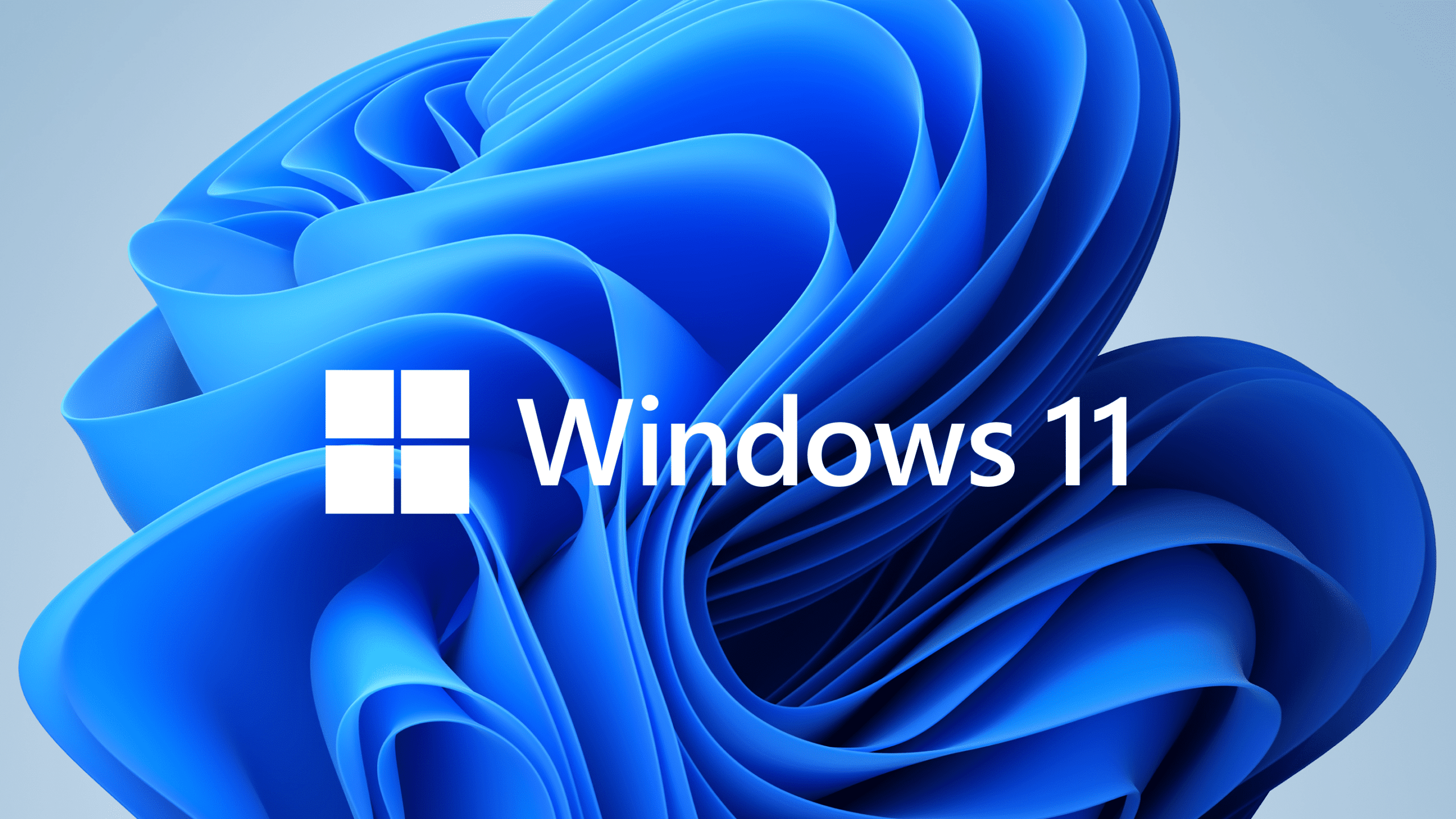 Testo alternativo:Logo di Windows 11 su sfondo astratto blu.