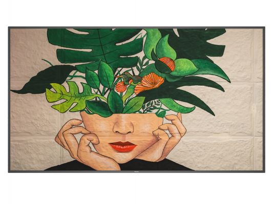 PHILIPS 75 D-LINE, UHD, 24/7