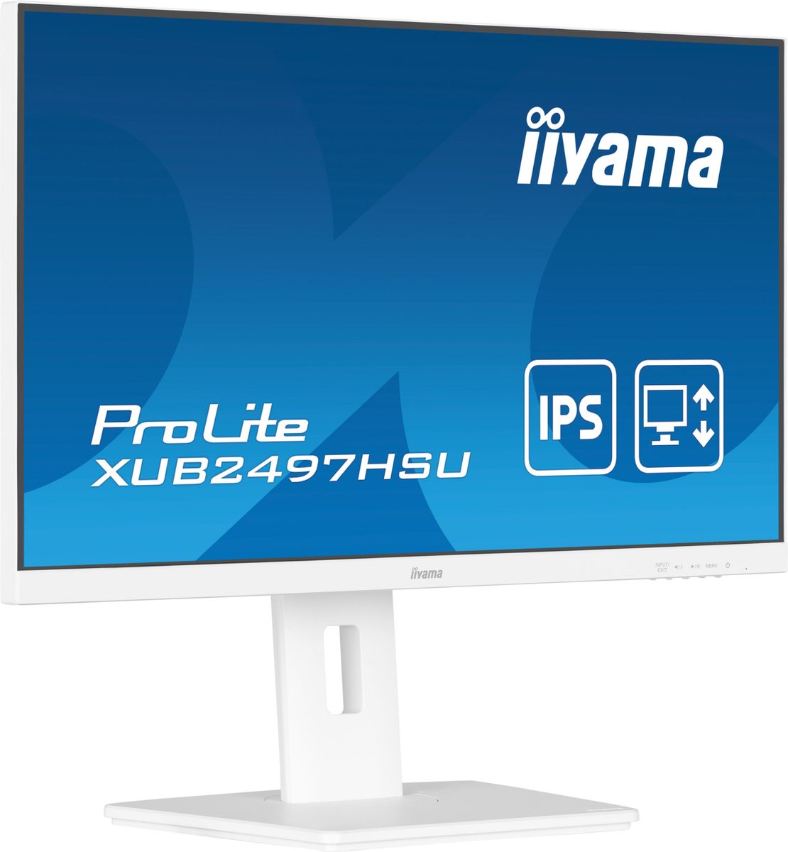 IIYAMA 24 WHITE IPS-panel, 1920x1080@100Hz, 15cm Height
