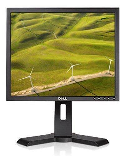 19 Inch LCD Monitor Dell P190ST Black VGA DVI USB 4:3