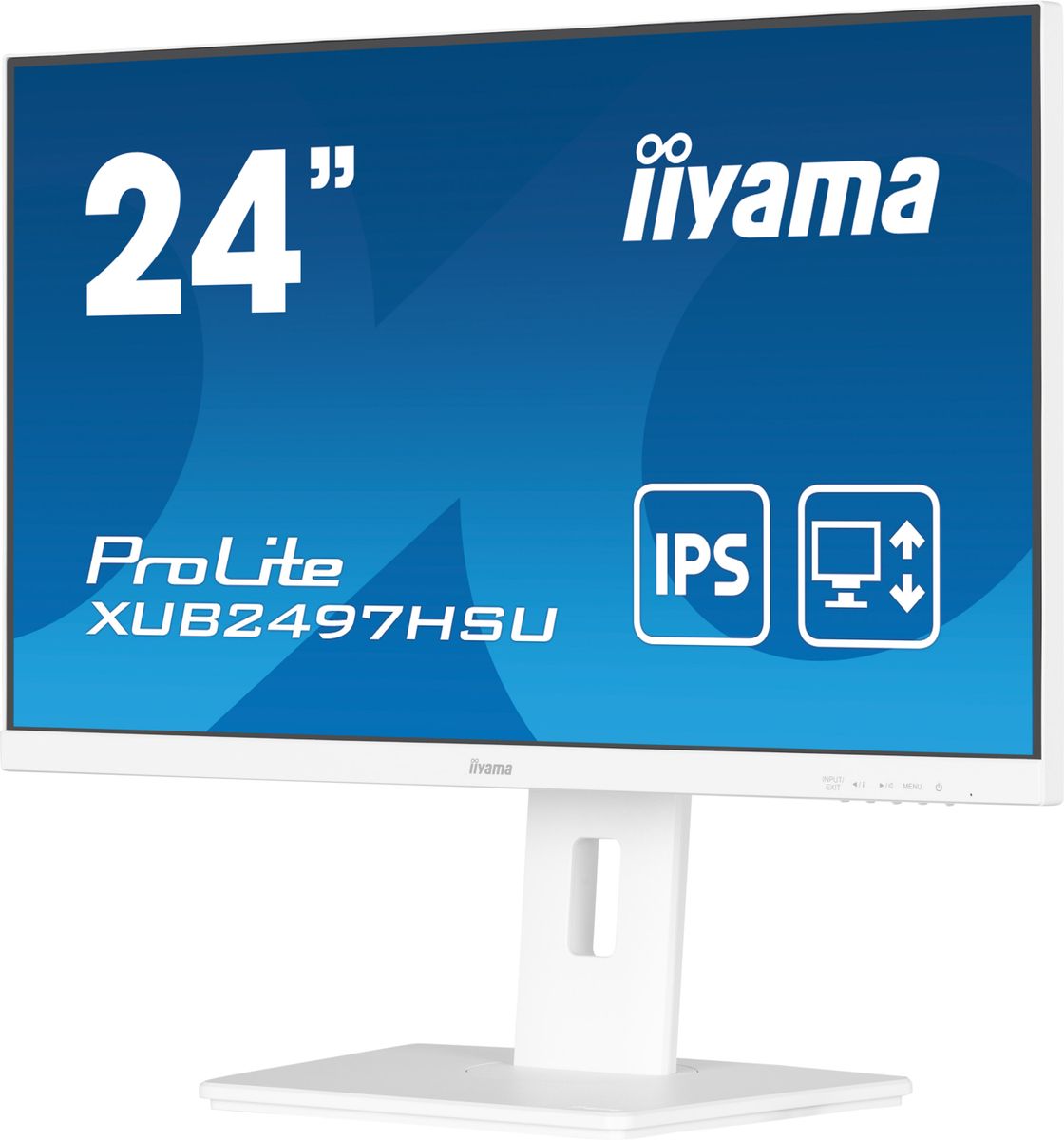 IIYAMA 24 WHITE IPS-panel, 1920x1080@100Hz, 15cm Height