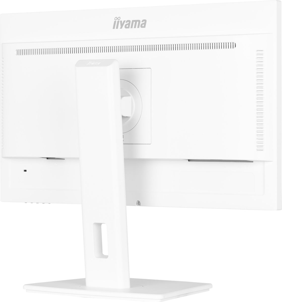 IIYAMA 24 WHITE IPS-panel, 1920x1080@100Hz, 15cm Height