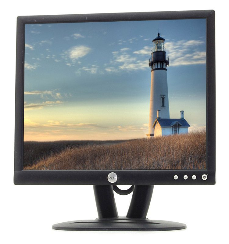DELL E193FP Monitor LCD 5:4 19