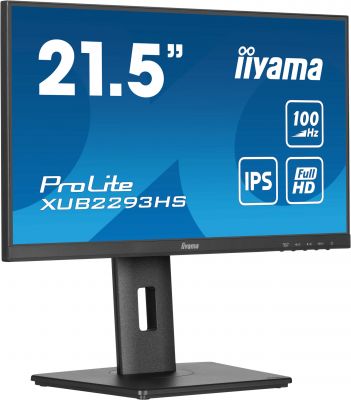 IIYAMA 21,5 FHD Business IPS