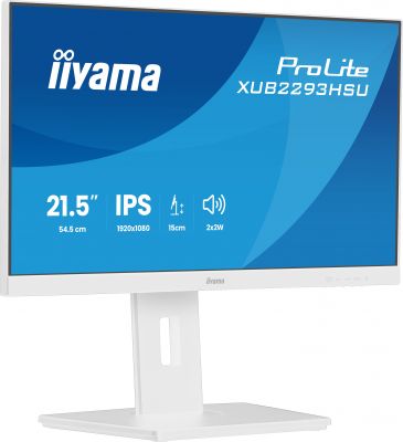 IIYAMA 21,5 BUSINESS FHD IPS