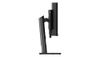 LENOVO TS THINKVISION P49W-30 49 DQHD