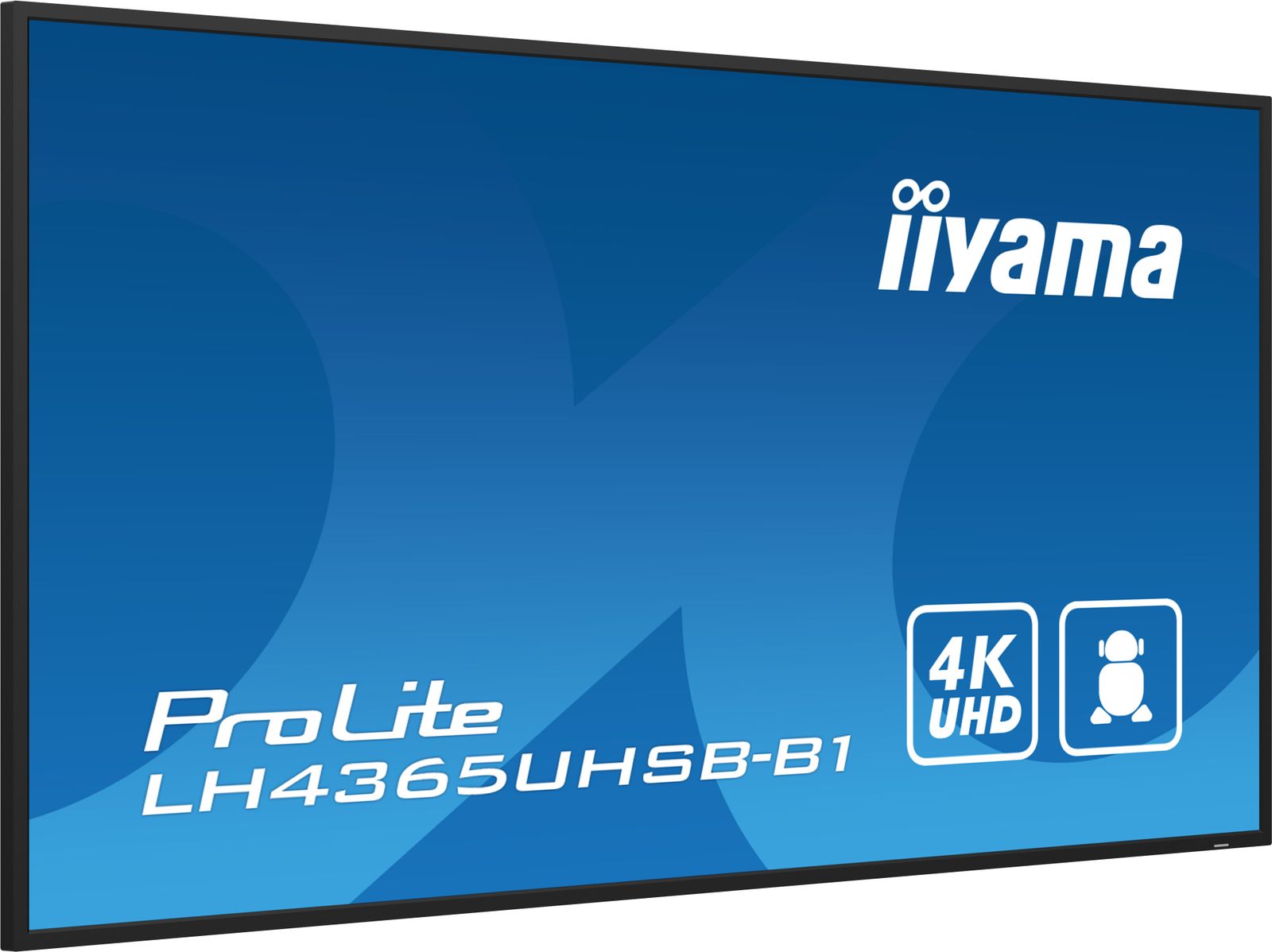 IIYAMA 43 3840x2160, UHD IPS panel