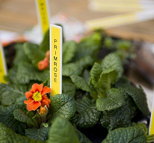 Brother PTD210,DESKTOP NERA,TASTI FUNZIONE,NASTRO TZE INCL