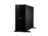HPE ML350 G11 4510 64G 8SFF EU SVR WS25