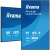 IIYAMA 65 LCD UHD, SDM-L