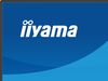 IIYAMA 24 IPS 1920x1080,USB-C,HDMI,DP,MULTIMED