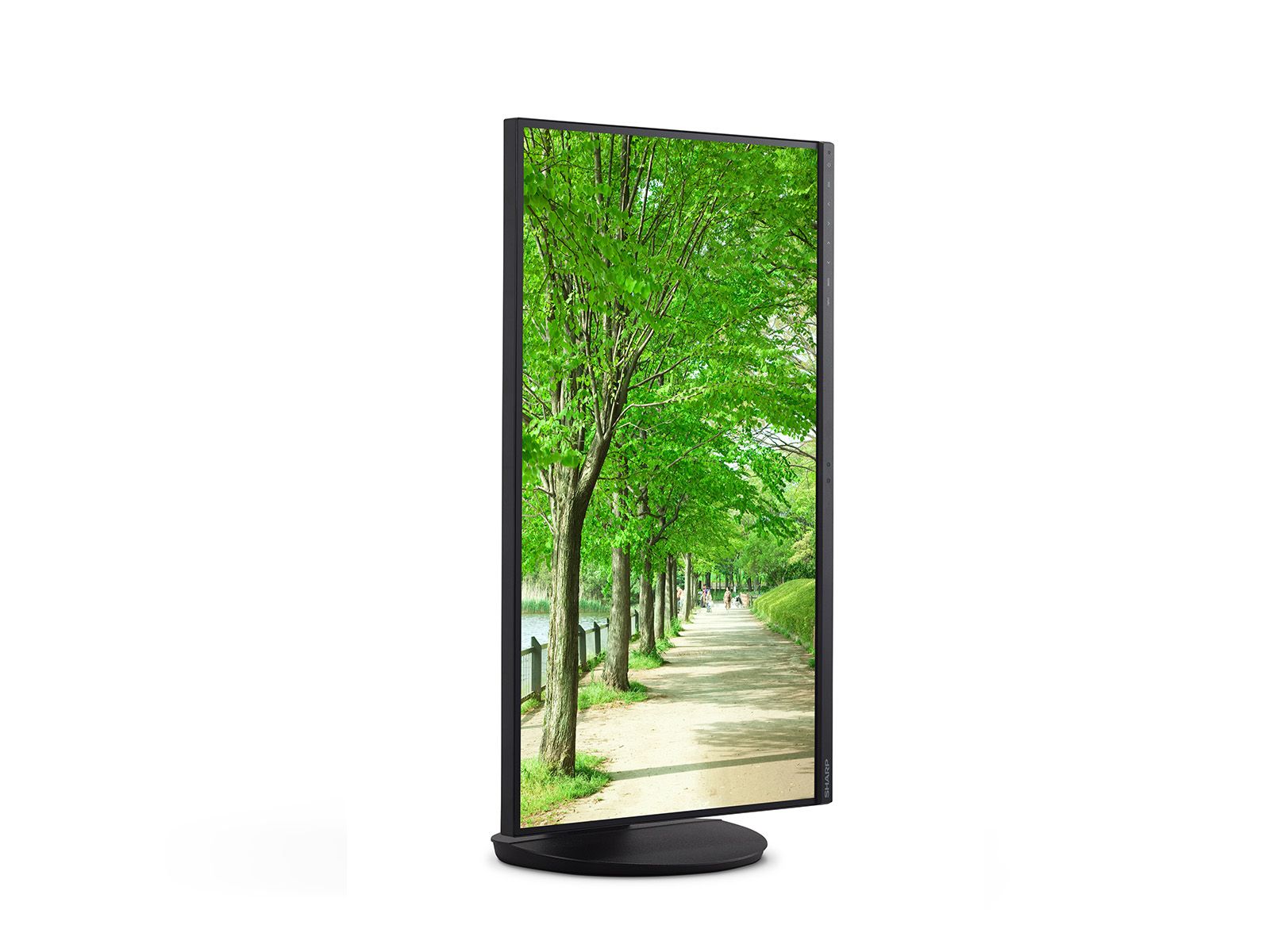 SHARP EA272QB