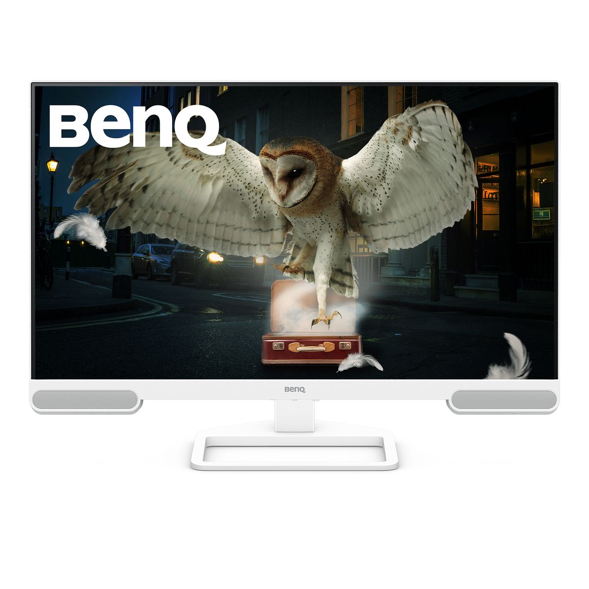 BenQ 31.5 4K 95 P3 USB-C (65W) USB-HUB