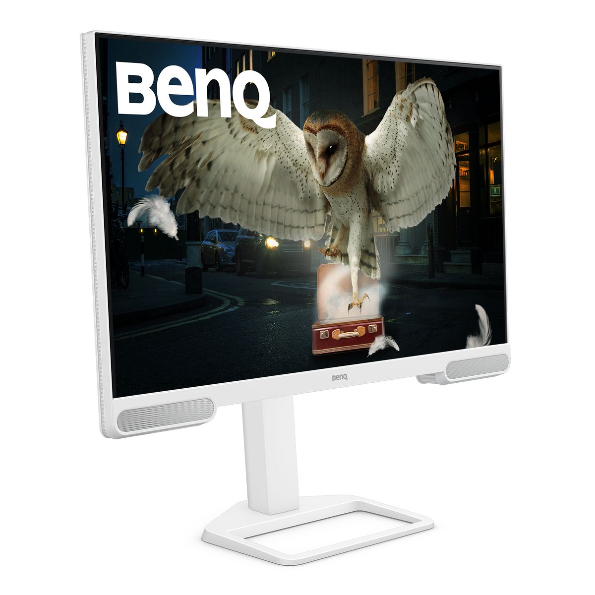 BenQ 31.5 4K 95 P3 USB-C (65W) USB-HUB