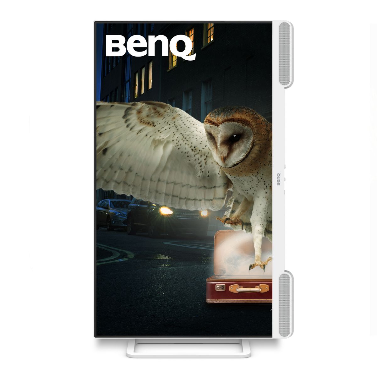 BenQ 31.5 4K 95 P3 USB-C (65W) USB-HUB