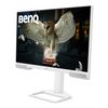 BenQ 31.5 4K 95 P3 USB-C (65W) USB-HUB