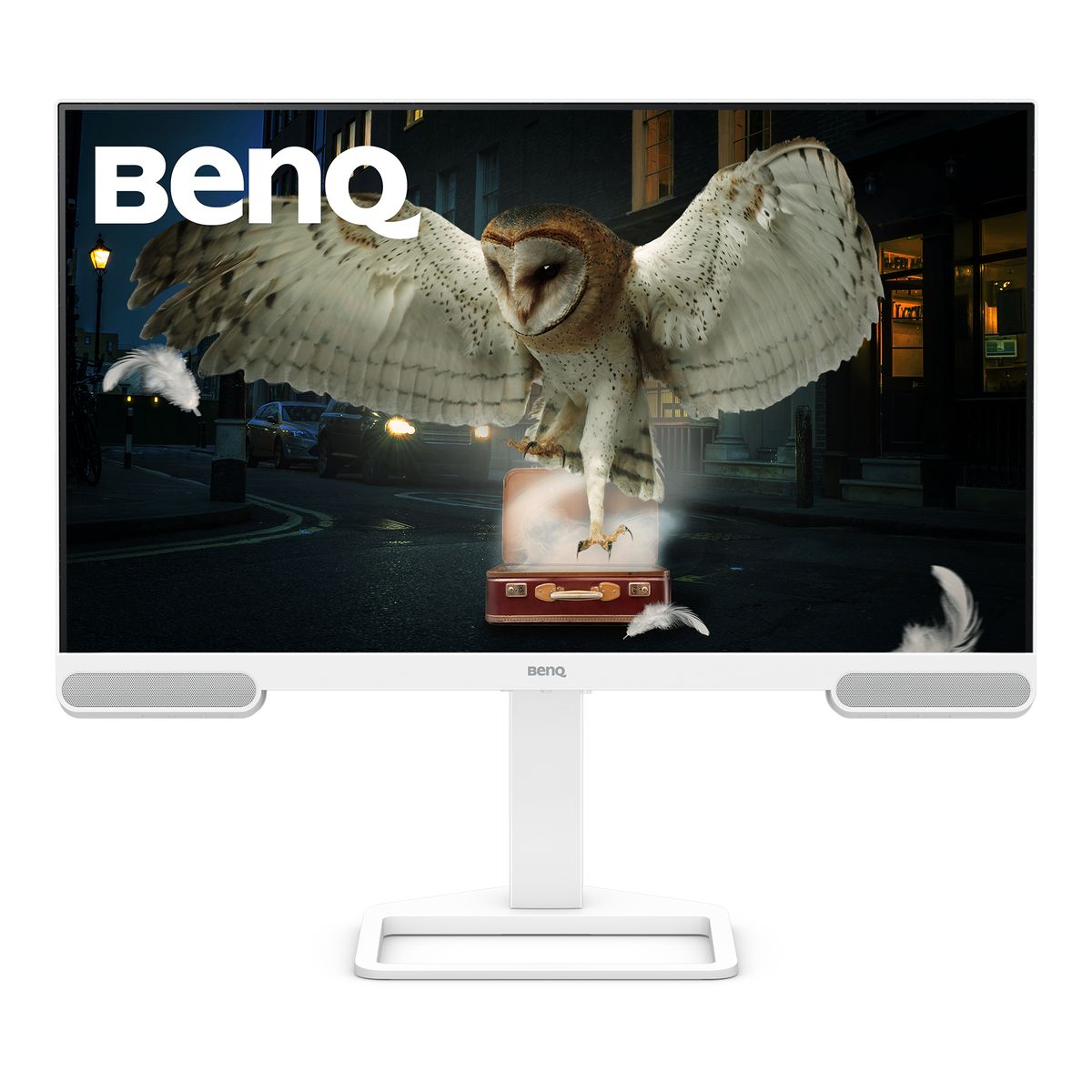 BenQ 31.5 4K 95 P3 USB-C (65W) USB-HUB