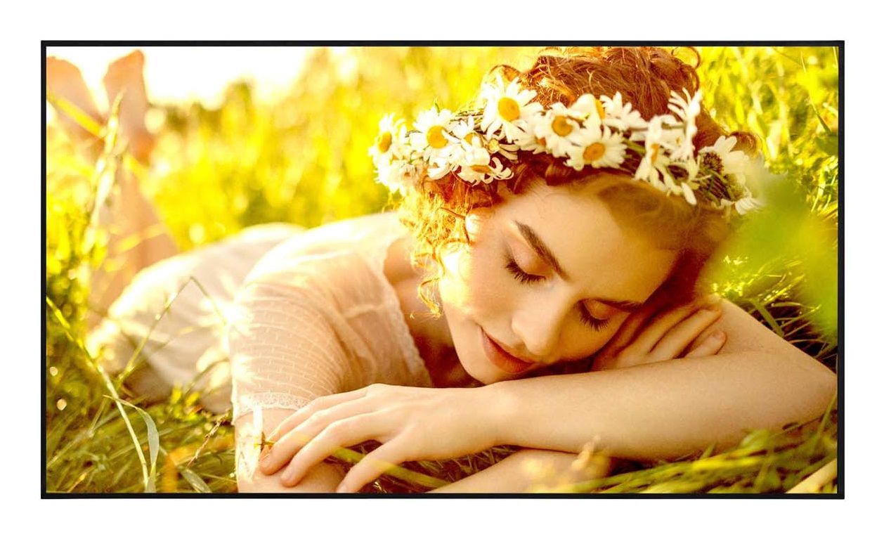 LG ELECTRONICS 65 LED ADS, 3840X2160, 16:9, 500 NIT, 1200:1