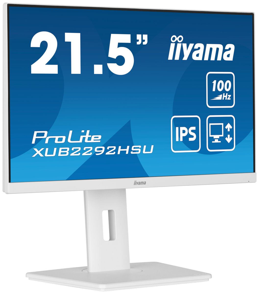 21,5  FHD Business  IPS [IMAGE 3]