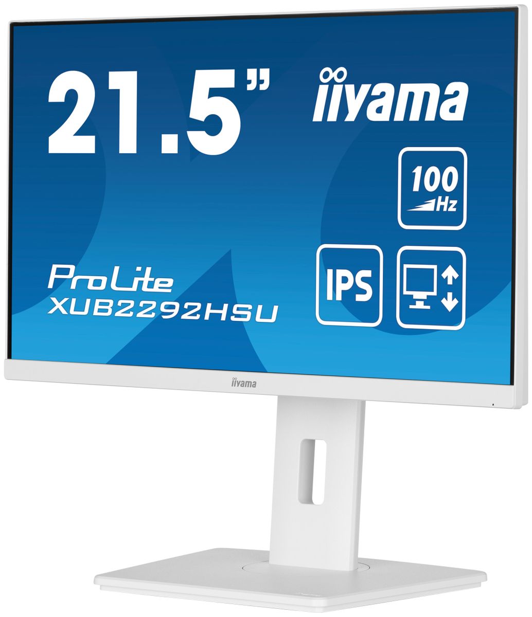 21,5  FHD Business  IPS [IMAGE 5]
