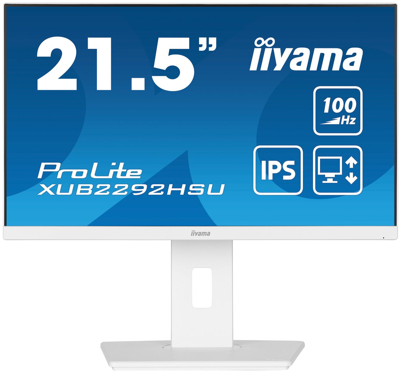 21,5  FHD Business  IPS [IMAGE 1]
