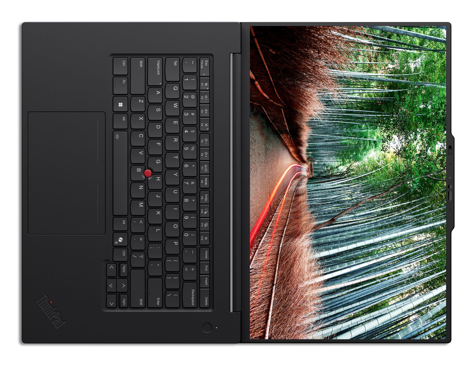 LENOVO TS P1 ULT9-285H 64GB 2TB RTXPR2000 W11PR 3YPREMIER