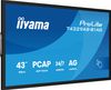 IIYAMA 43 All-in-one Interactive Display