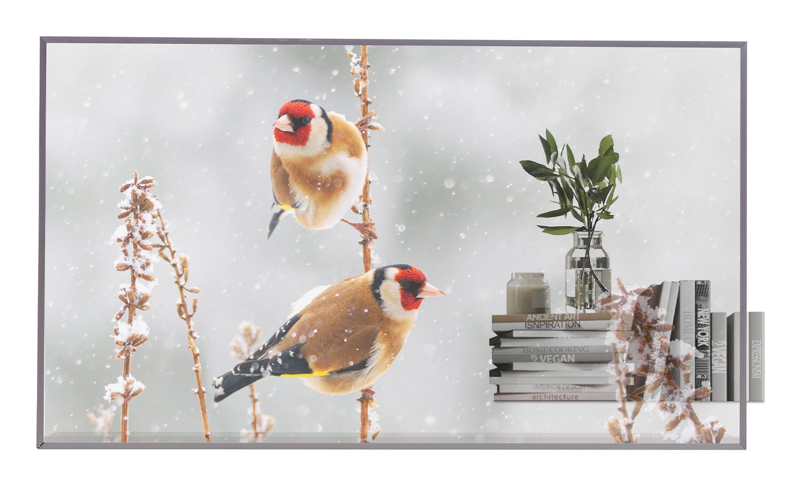 LG ELECTRONICS 55 OLED, 1920X1080, 16:9