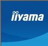 IIYAMA 27 WHITE IPS 2560x1440 2xHDMI DP HUB USB MULTIMED