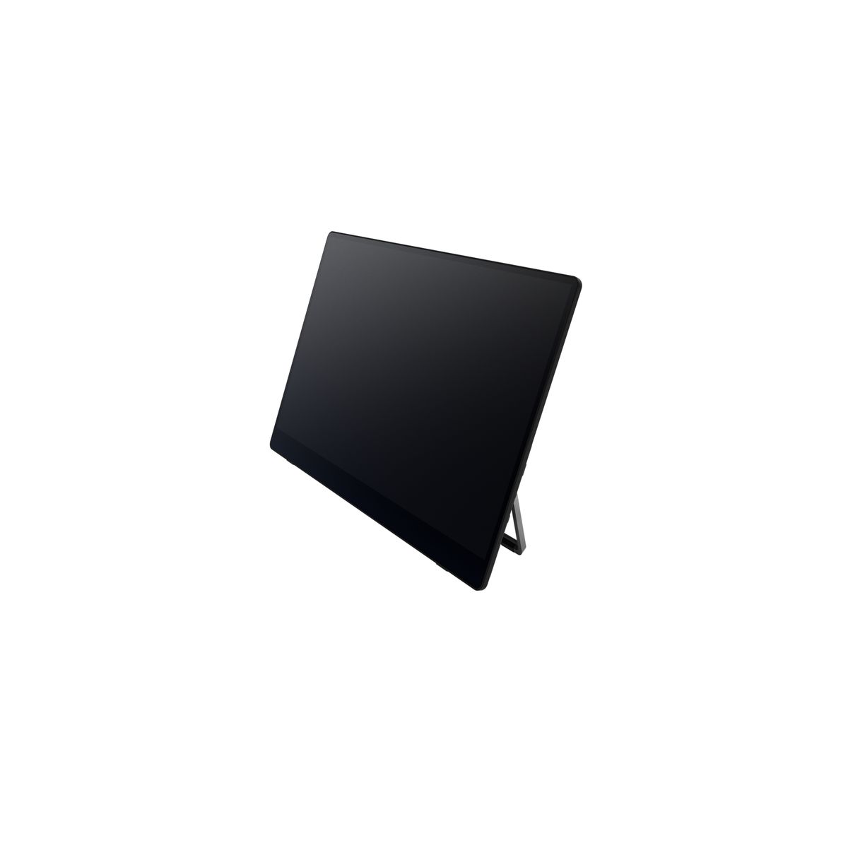 RICOH MONITOR PORTATILE RICOH 150BW WIFI