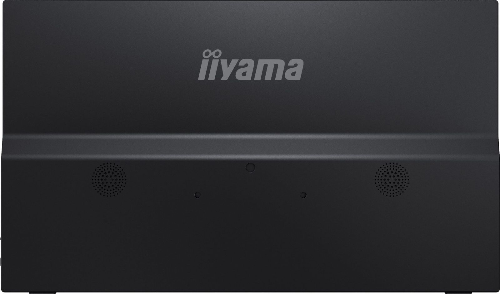IIYAMA 15,6 Portable USB-C monitor