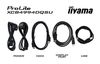IIYAMA 49 Business DQHD