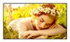 LG ELECTRONICS 43 LED ADS, 3840X2160, 16:9, 500 NIT,