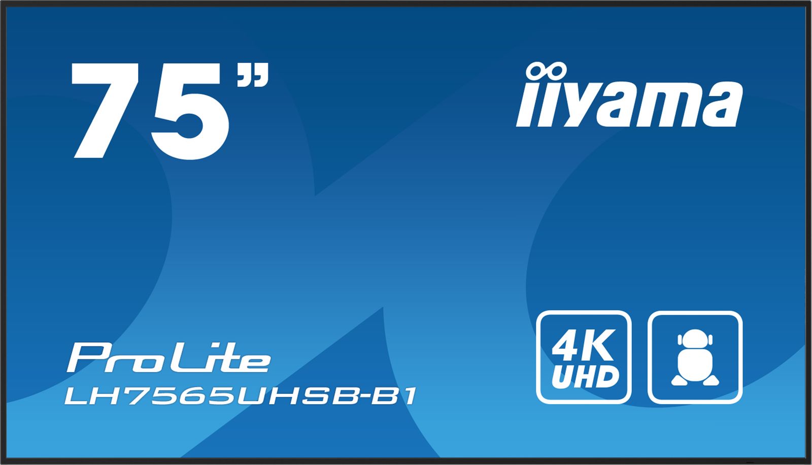 IIYAMA 75 LCD UHD 800cd/m2 android wifi 24/7 hdmi dp