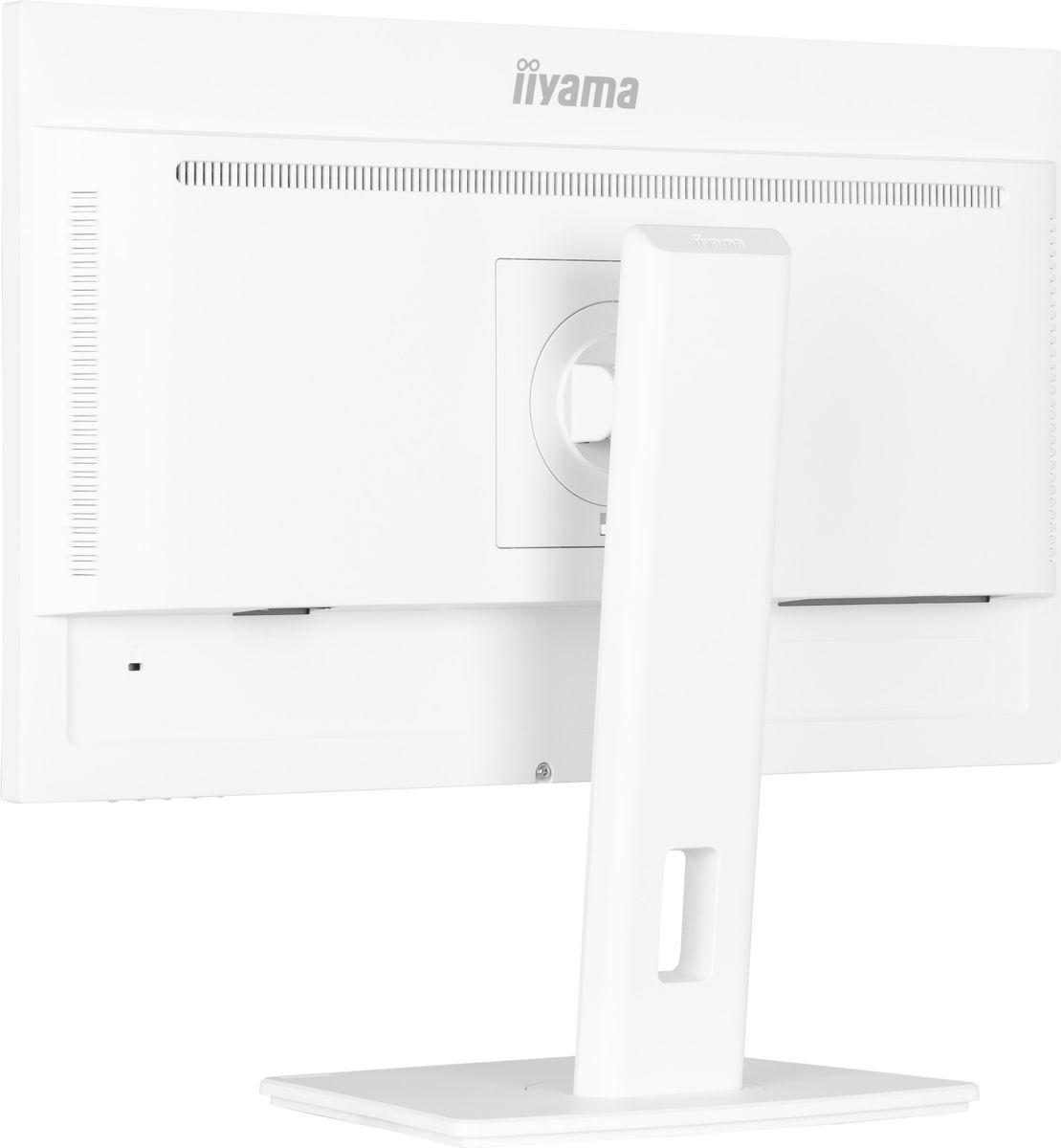 IIYAMA 24 WHITE IPS-panel, 1920x1080@100Hz, 15cm Height