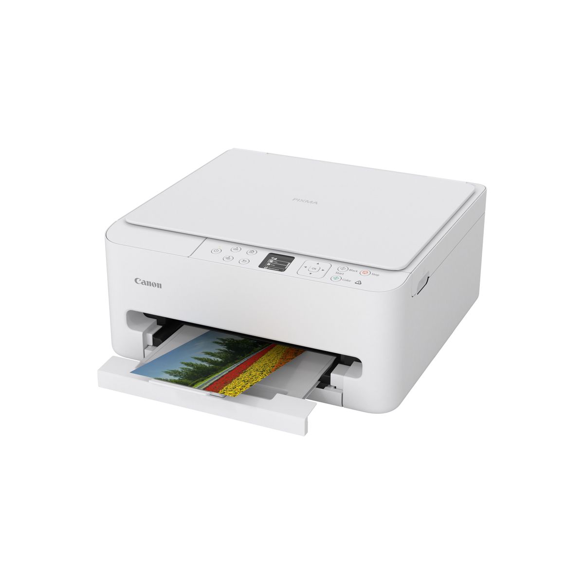 Canon PIXMA TS6550i WHITE