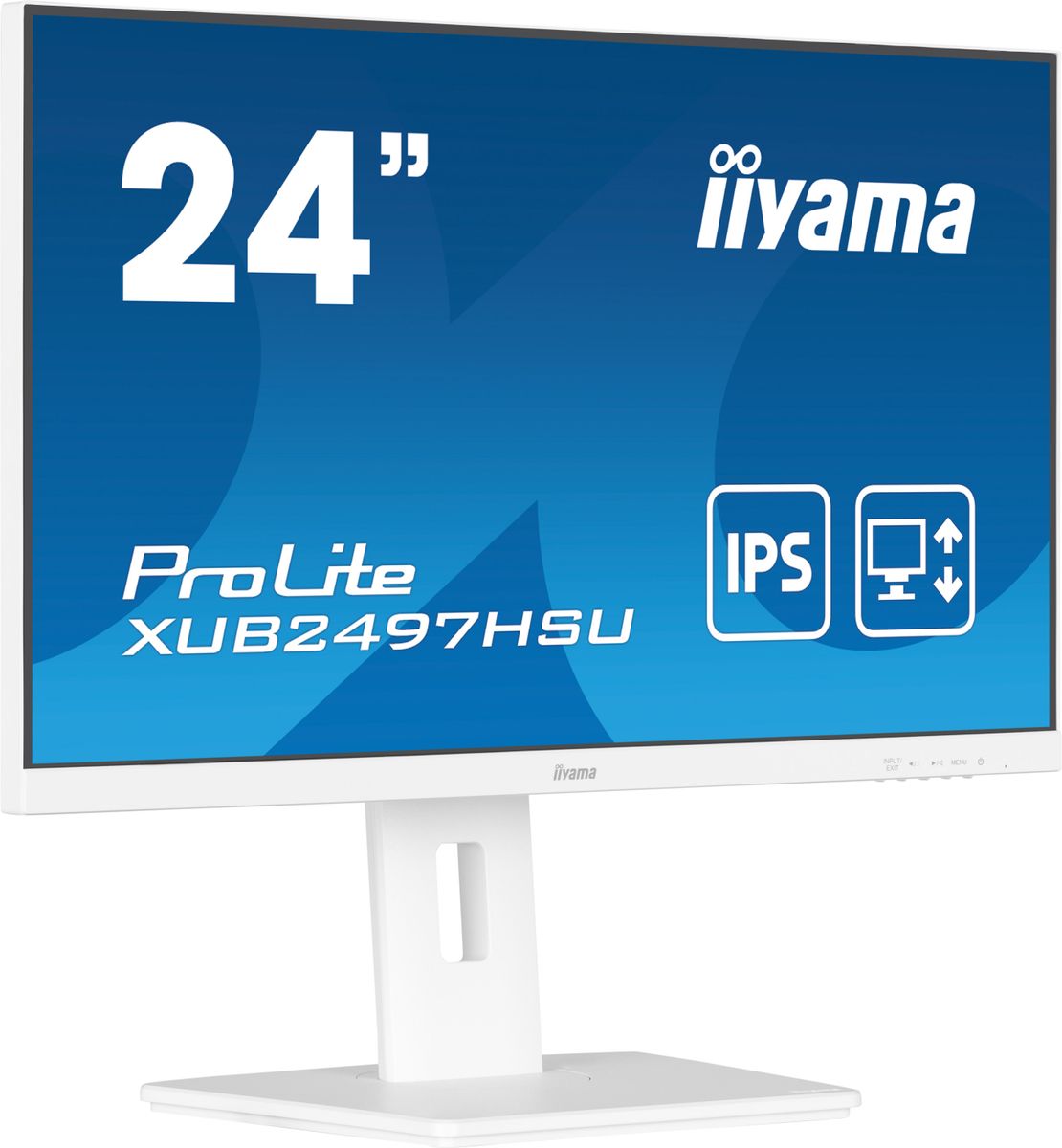 IIYAMA 24 WHITE IPS-panel, 1920x1080@100Hz, 15cm Height