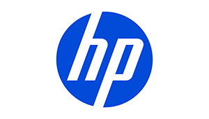HP INC. 240G10 AIO24NT I3-N300 8 512 WIFI WIN11H 2YW
