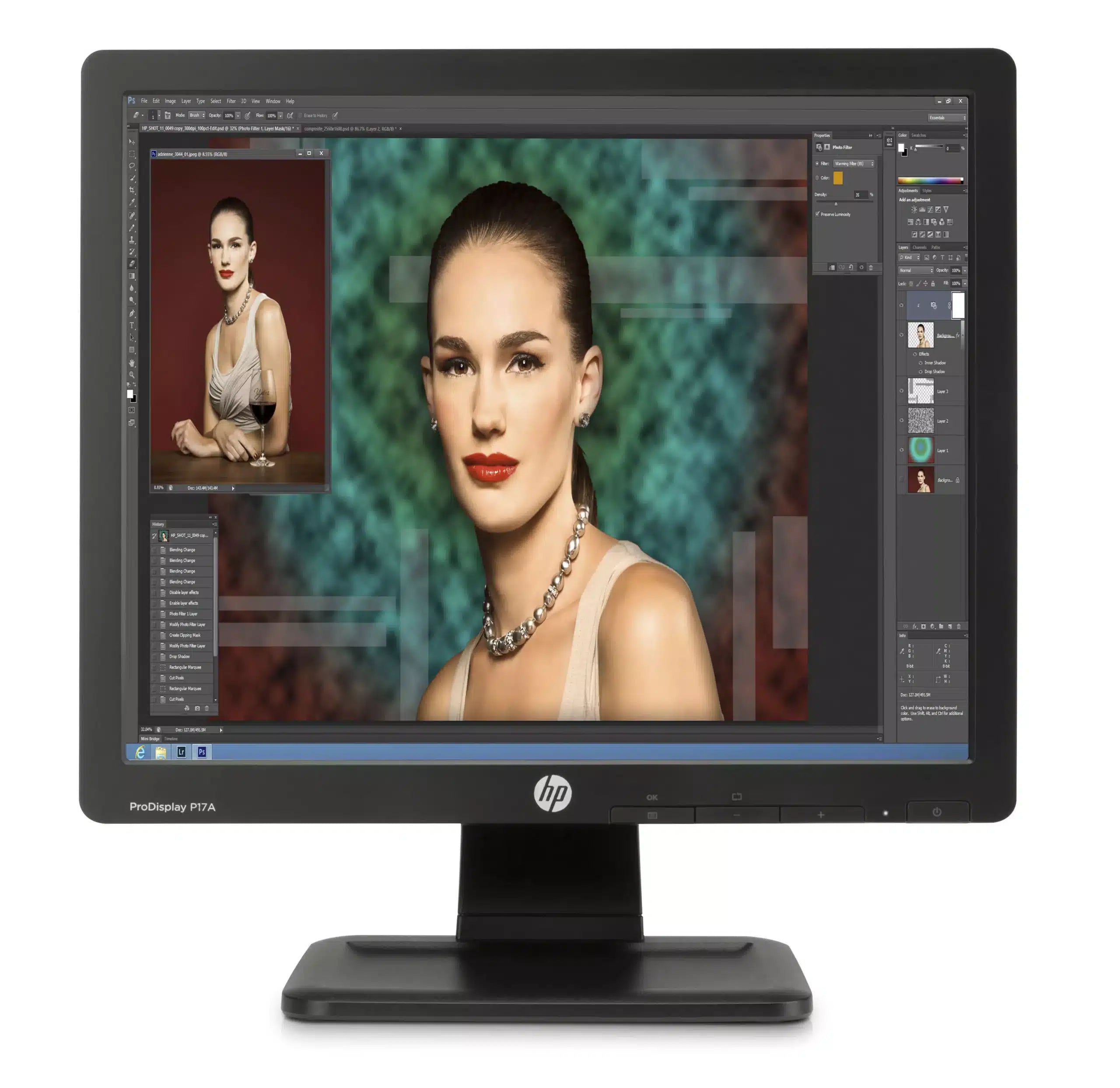 HP ProDisplay P17A