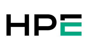 HEWLETT PACKARD ENT HPE DL360 G12 6505P 2X32G 8SFF SSD SVR